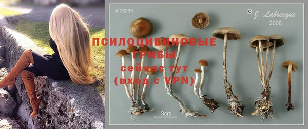 гашишное масло Арсеньев