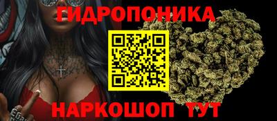 мяу мяу мука Ачхой-Мартан