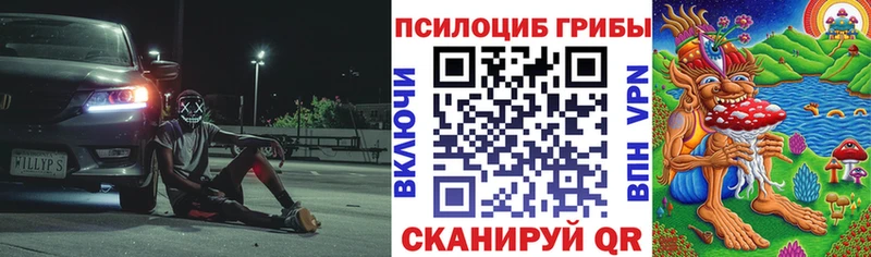 Псилоцибиновые грибы Cubensis  Салават 