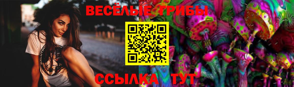 Галлюциногенные грибы Psilocybe Салават
