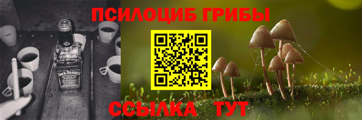 Галлюциногенные грибы мицелий  Вход с VPN  Салават  Псилоцибиновые грибы Psilocybe 